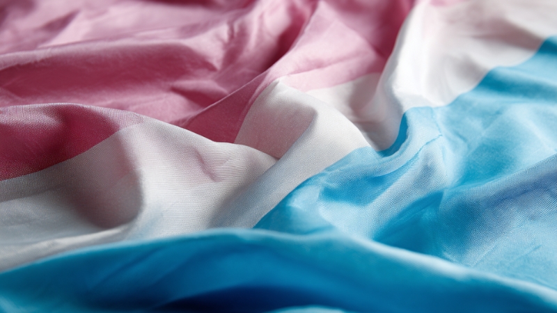 The transgender pride flag with horizontal blue, pink, and white stripes displayed in soft fabric folds