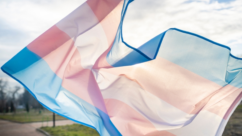 Transgender pride flag with blue, pink, and white stripes waving outdoors