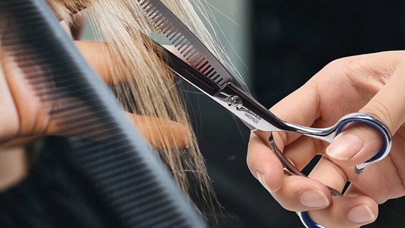 Professional-grade shears