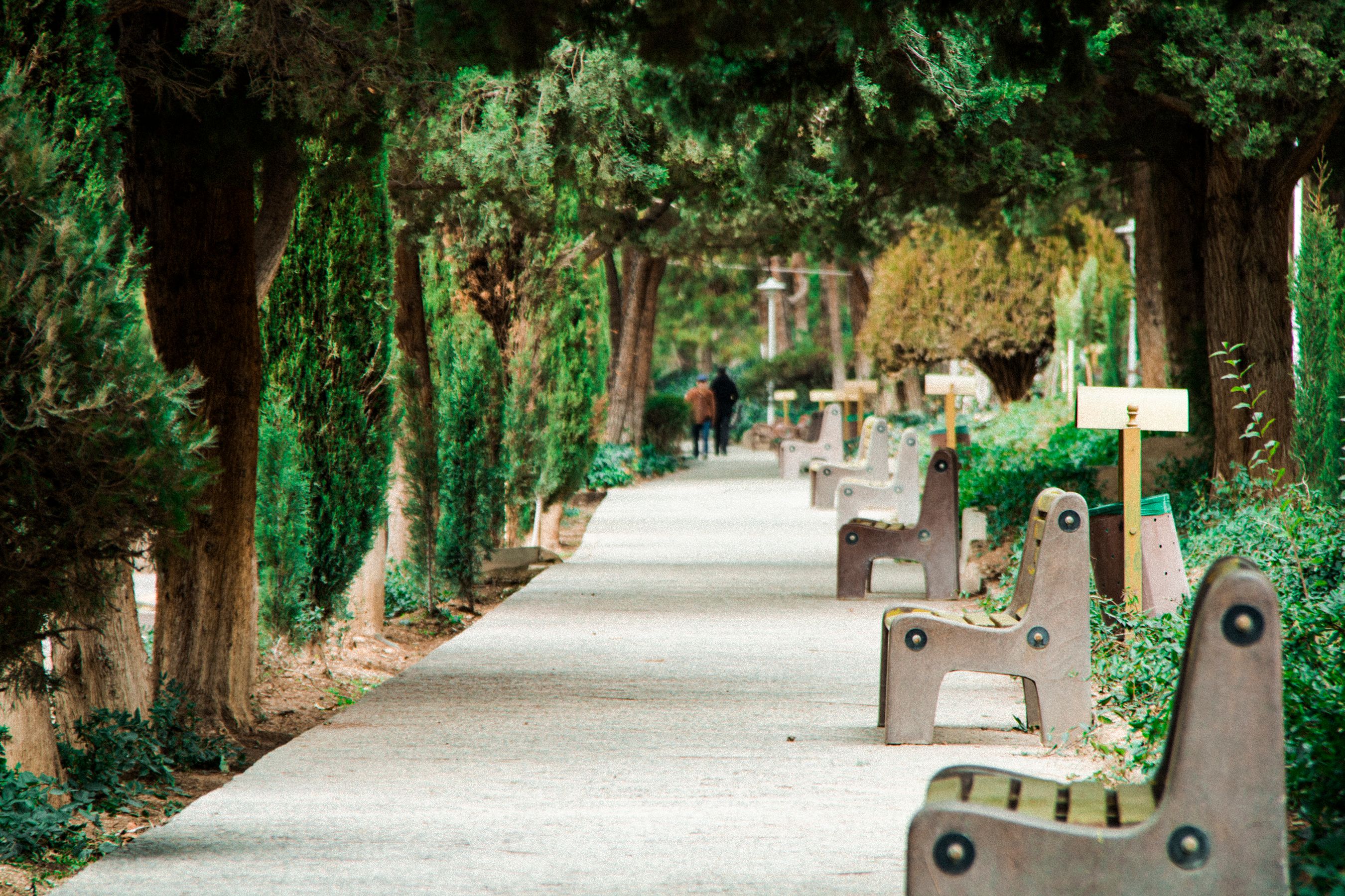 A shaded park walkway with benches and space for people to stroll and gather